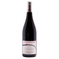 Вино красное сухое Complices de Loire, "Les roches celestes", Saumur Champigny (Комплис де Луар, "Ле каноньер"), 2021